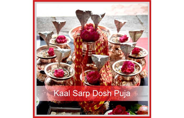 Kaal Sarp Dosh Puja in Ujjain