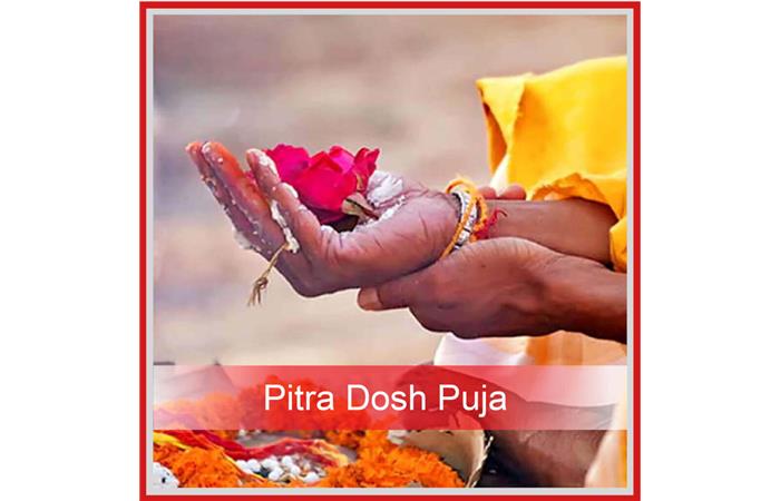 Pitra Dosh Puja